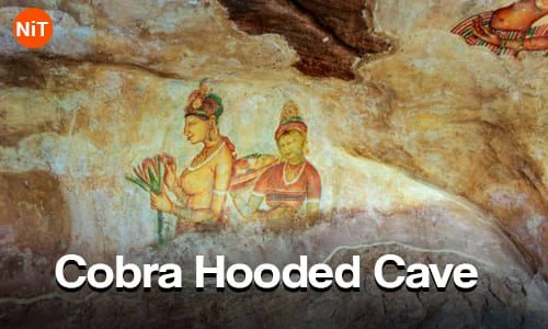 Cobra Hooded Cave