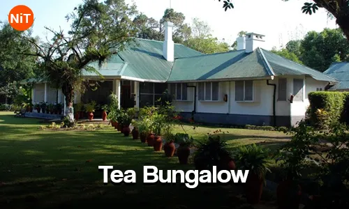 Colonial Tea Bungalow