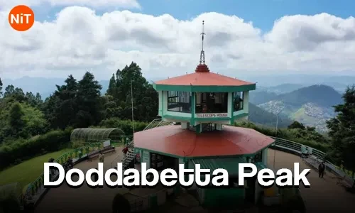 Doddabetta Peak sightseeing view