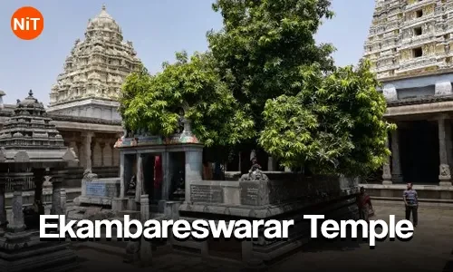 Ekambareswarar Temple, Kanchipuram