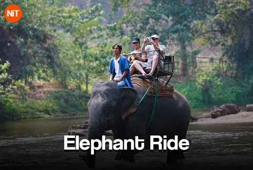 Elephant Ride
