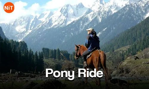 Gulmarg Pony Ride