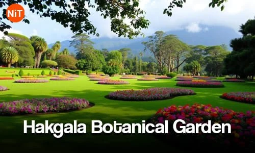 Hakgala Botanical Garden