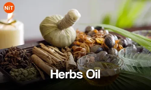 Herbs Oil