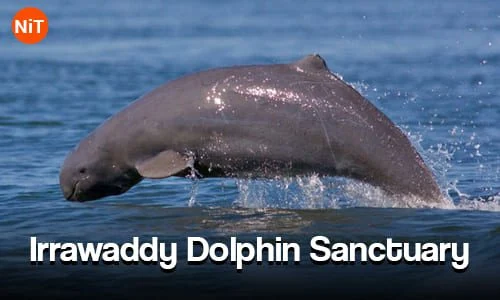Irrawaddy Dolphin Sanctuary