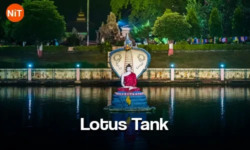 Lotus Tank, Bodh Gaya