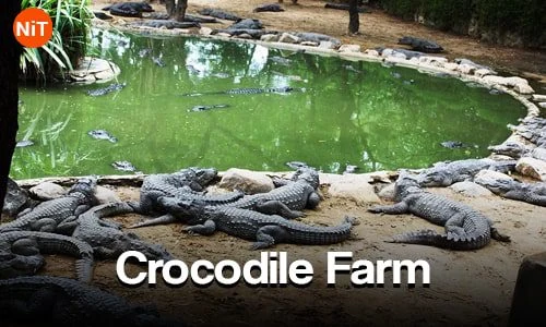 Madras Crocodile Bank