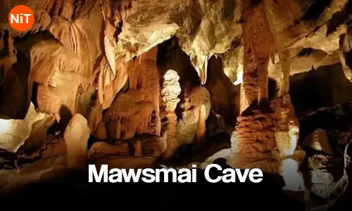 Natural limestone formations inside Mawsmai Cave Cherrapunji