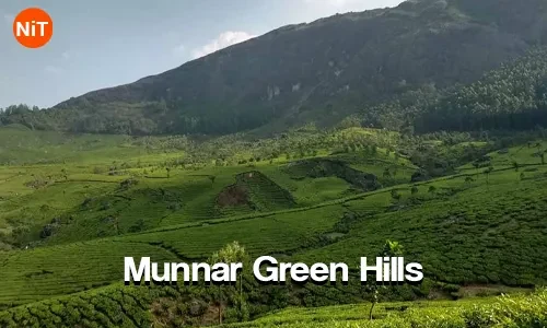 Munnar Green Hills