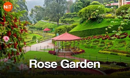Ooty Rose Garden sightseeing view