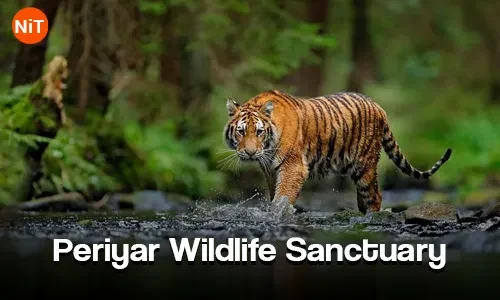 Periyar Wildlife Sanctuary sightseeing view