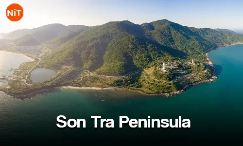Son Tra Peninsula sightseeing view
