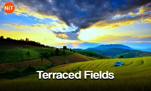 Terraced Fields