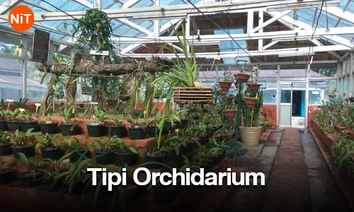 Tipi Orchidarium