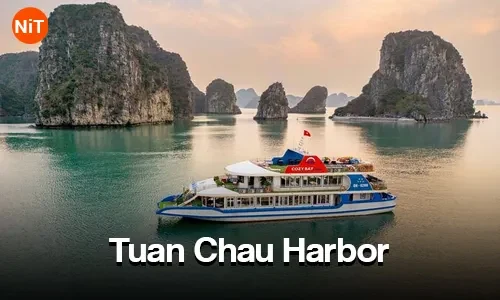 Tuan Chau Harbor, Ha Long sightseeing view