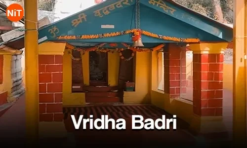 Vridha Badri