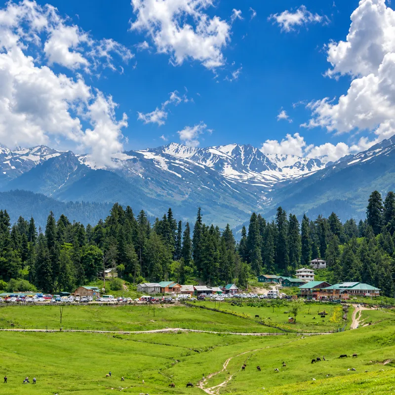 Kashmir tour packages
