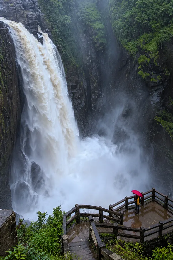 Green misty valley during the monsoon season