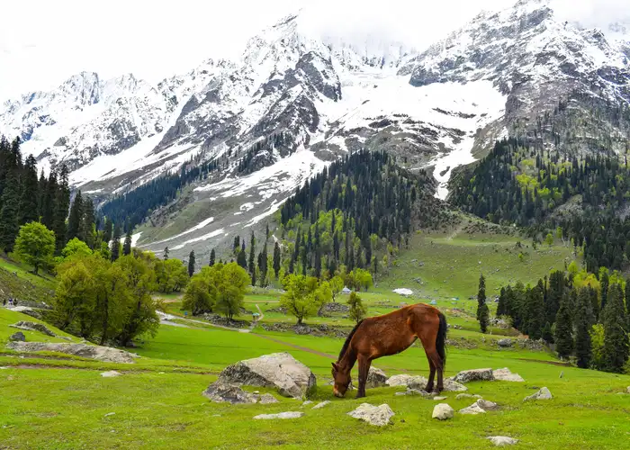 Kashmir travel destination