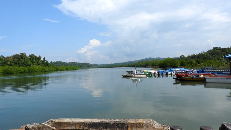 Baratang Island Tour Packages