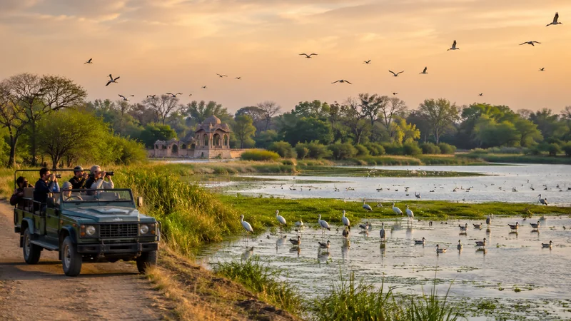 Bharatpur Tour Packages