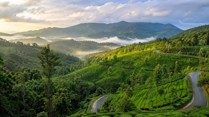 Coorg Tour Packages