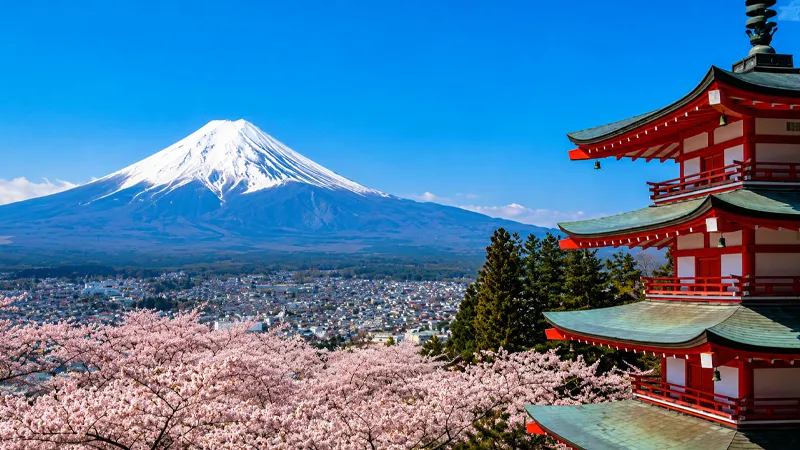 Hiroshima Tour Packages