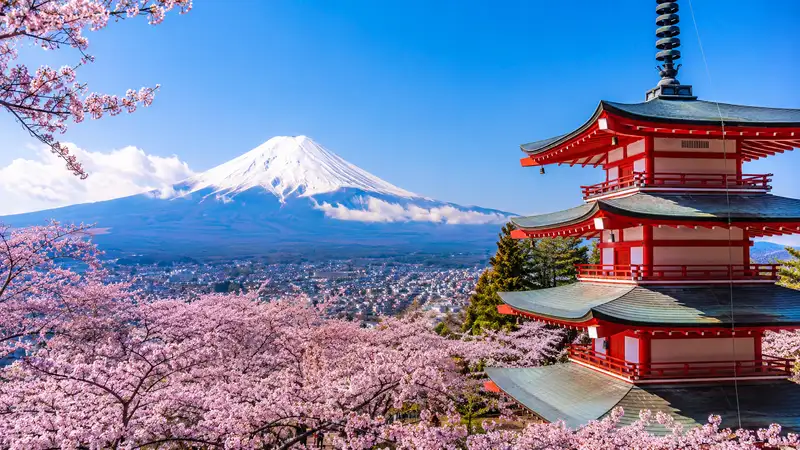 Japan Tour Packages