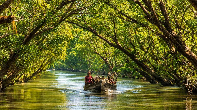Sundarban Tour Packages