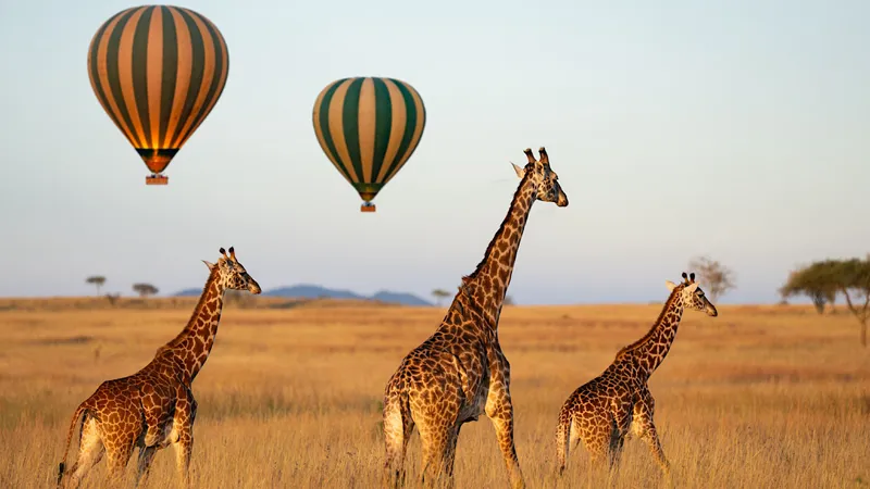Tanzania Tour Packages