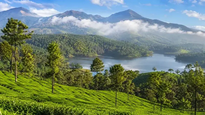 Best Places to Visit in Munnar