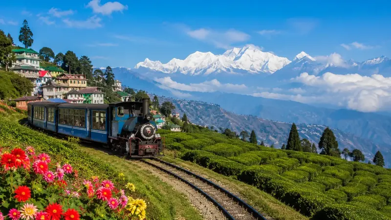 Darjeeling Weather – Everything You Need To Know