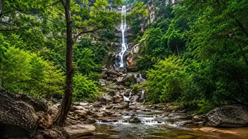 Kanger Ghati National Park: A Hotspot for Biodiversity