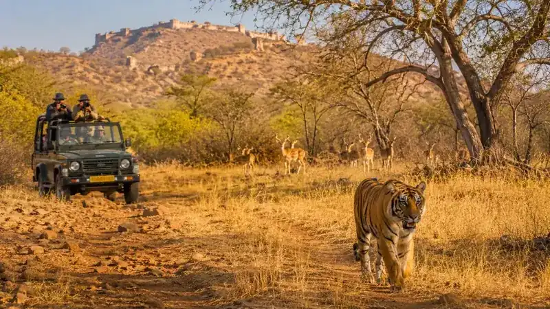 Top 10 National Parks in Rajasthan