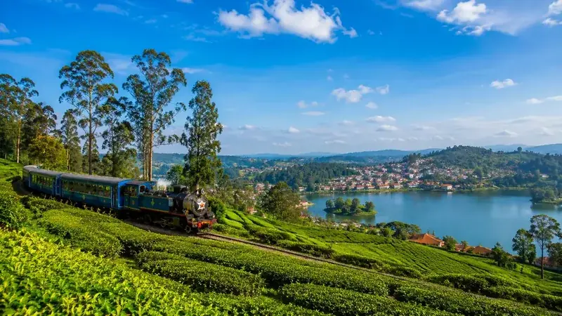 Ooty Travel Guide