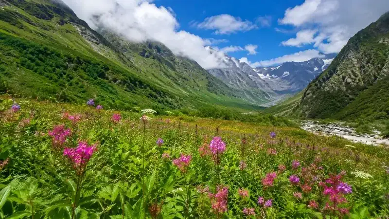 Top 10 Summer Holiday Destinations in India