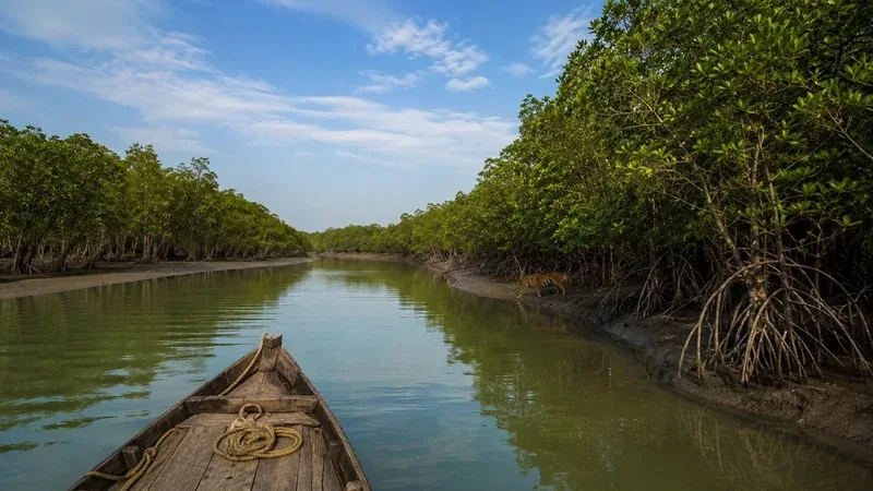 Sunderbans National Park, West Bengal