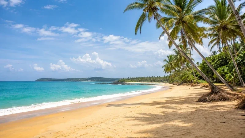 Top 10 Most Famous Beaches in Kerala - Beaches in Kerala