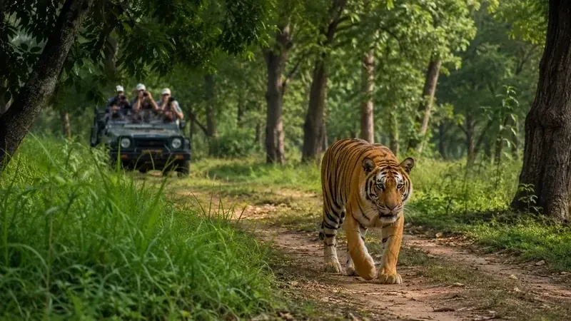 10 Famous Wildlife Sanctuaries & National Parks in India