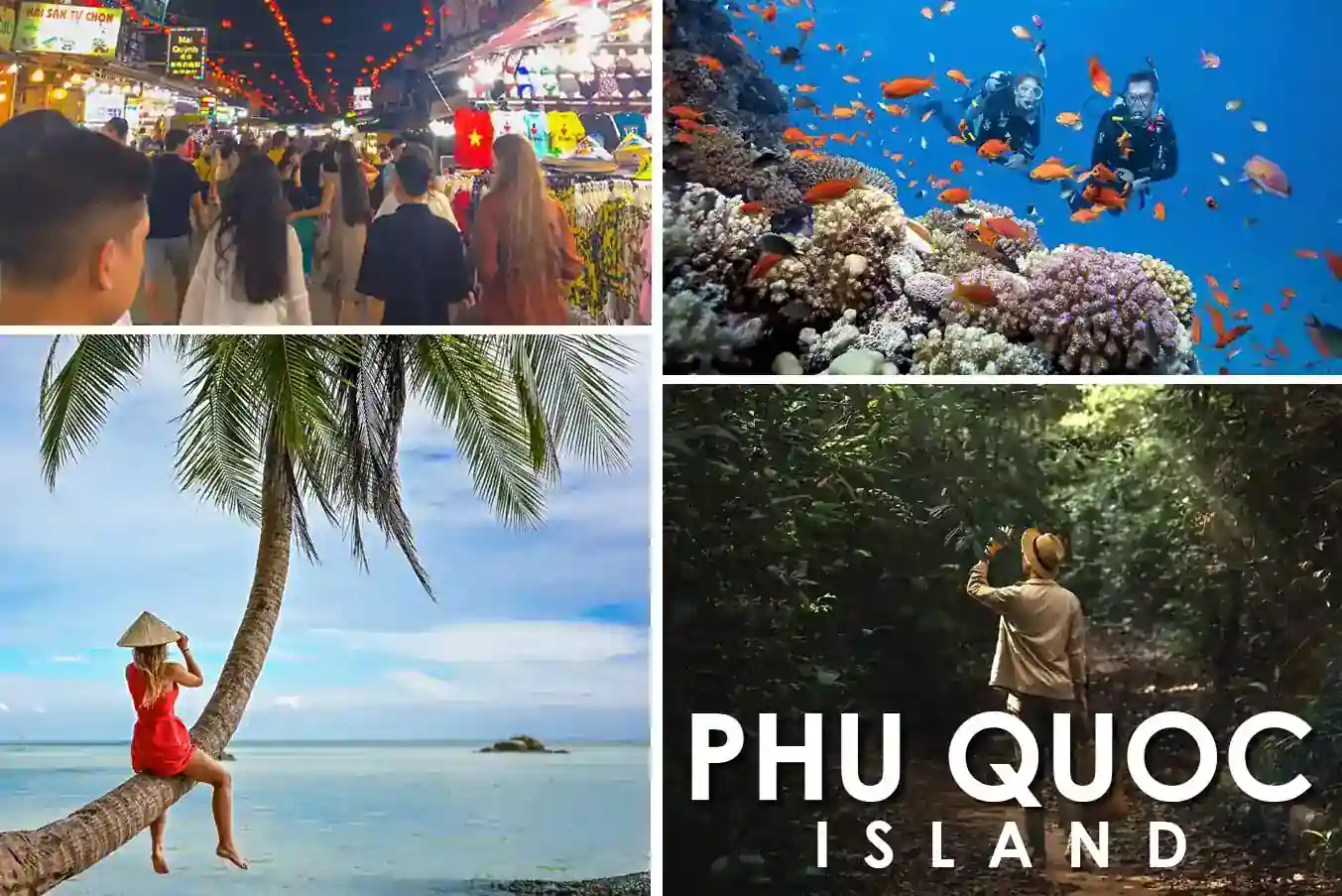 Phu Quoc Island tropical beach with clear water and palm trees