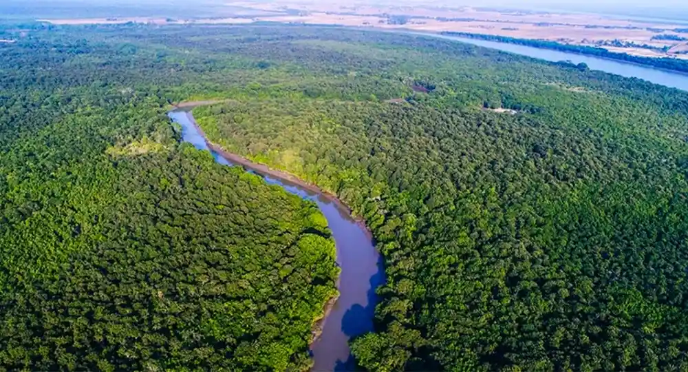 Bhitarkanika National Park