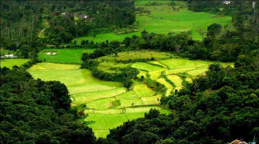 Coorg, Karnataka