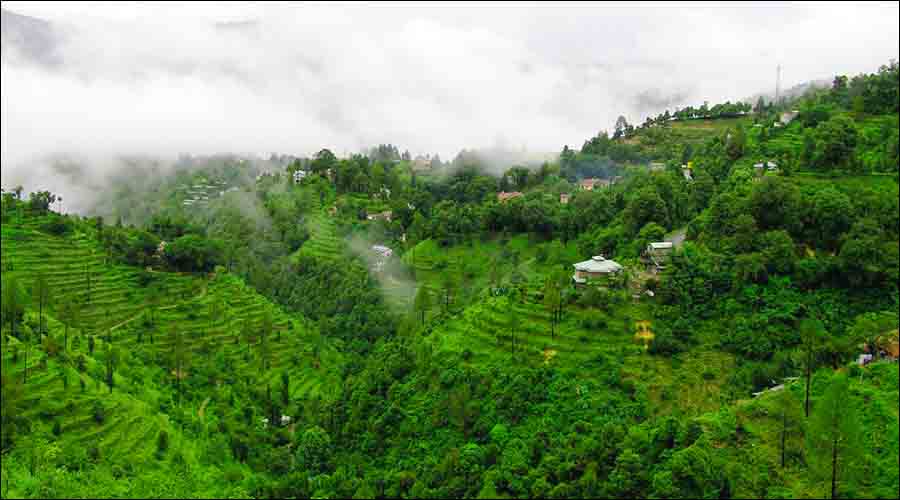 Ramgarh, Nainital