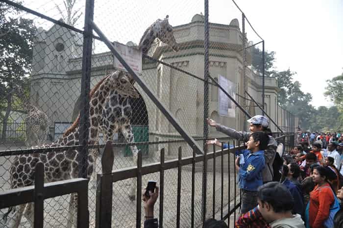 Alipore Zoological Gardens kolkata