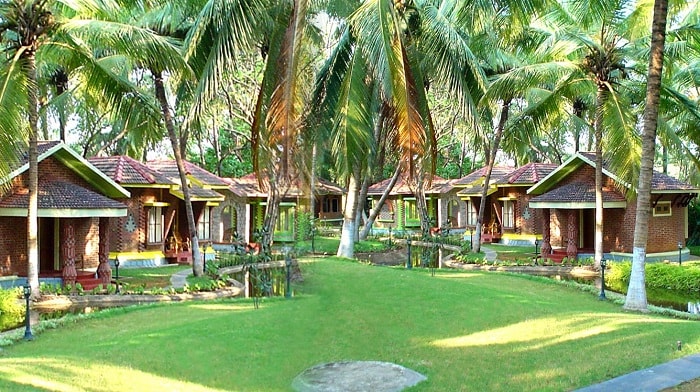 Ayurvedic Center in Kerela