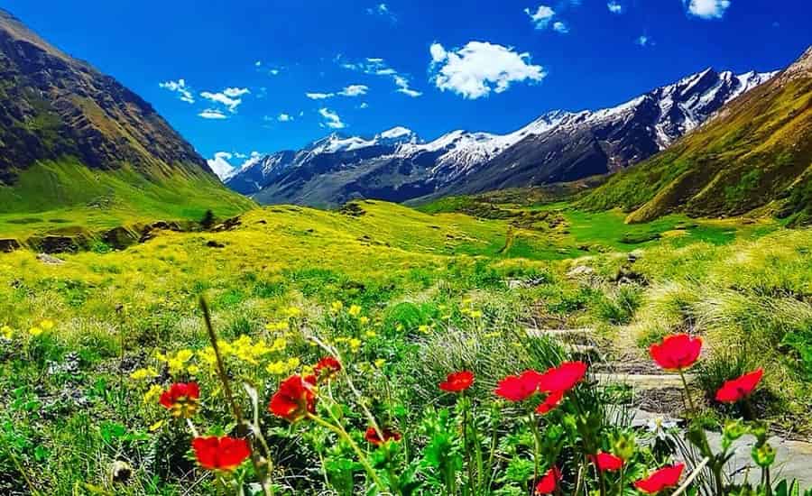 Bali Pass Trek