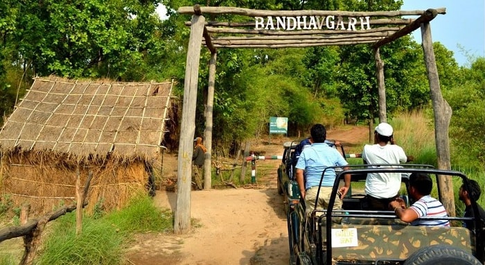 Bandhavgarh National Park