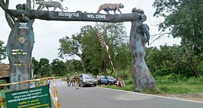 Bandipur National Park