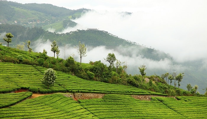 Coonoor