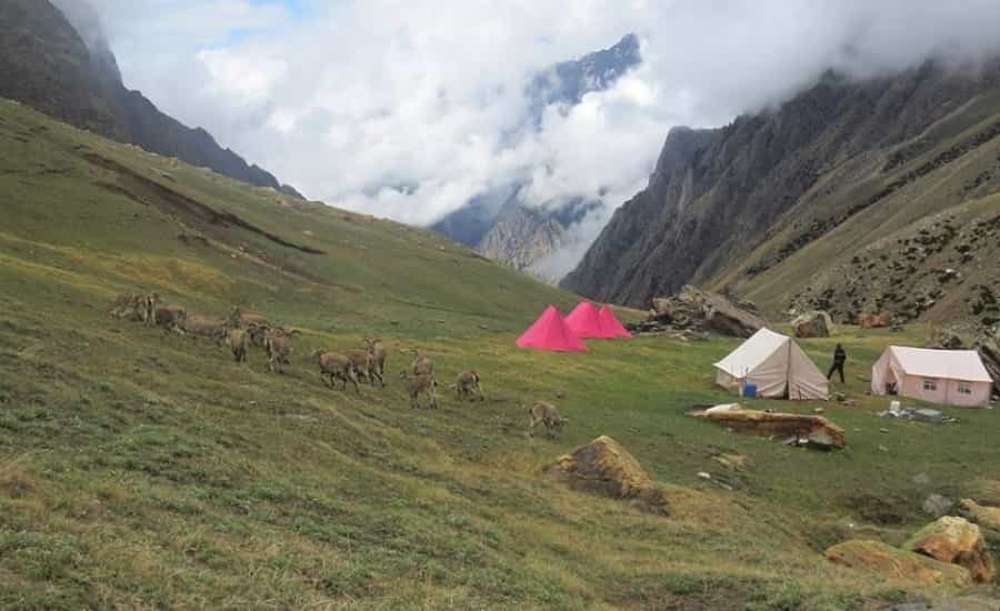 Gangotri National Park